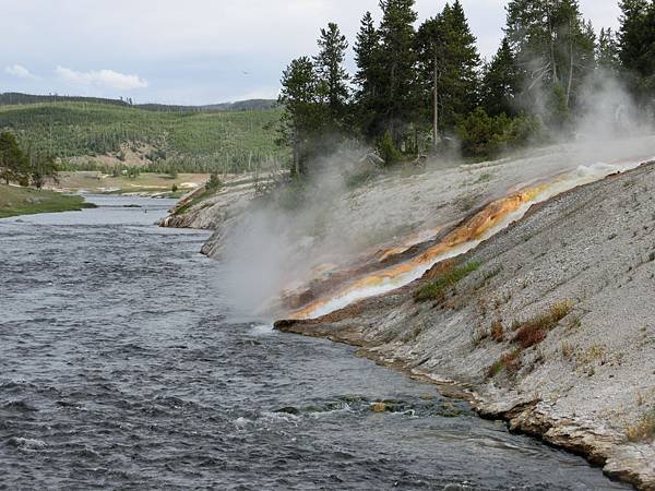 Midway 的溫泉水流入Firehole River