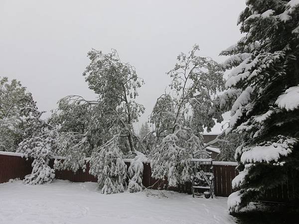 中秋風雪後