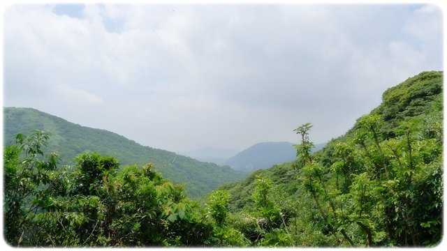 P1170208