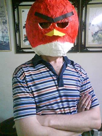 angry bird