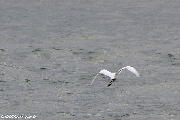 IMG_6672.JPG