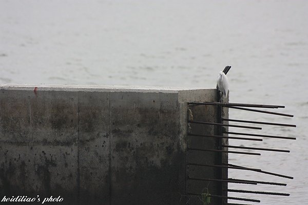 IMG_6665.JPG