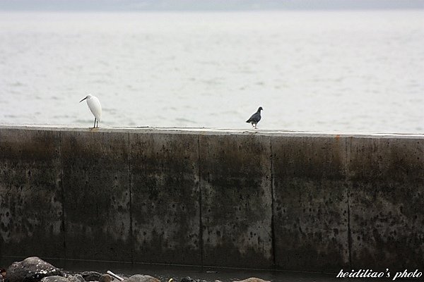 IMG_6641.JPG