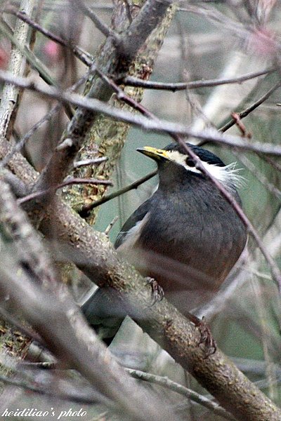 IMG_8760.JPG