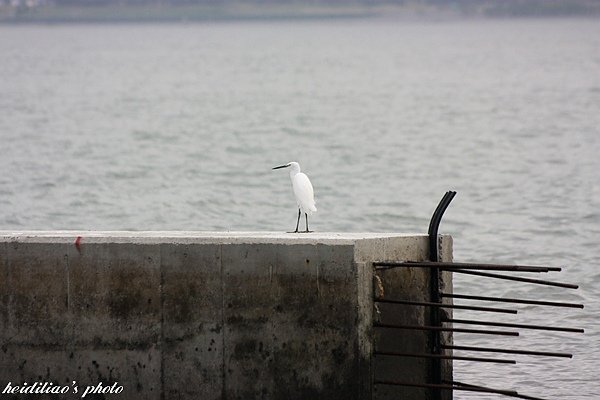 IMG_6682.JPG