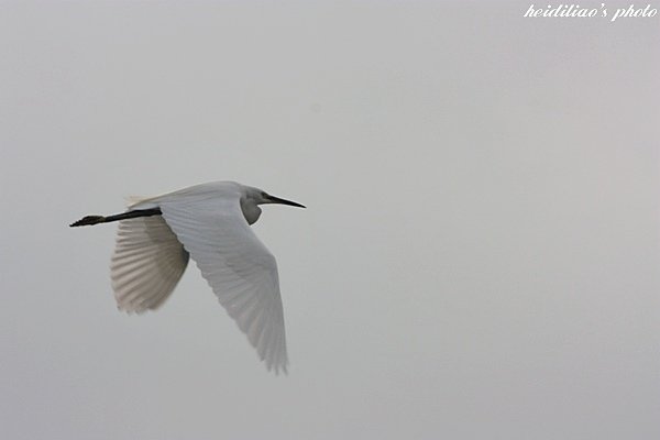 IMG_6654.JPG