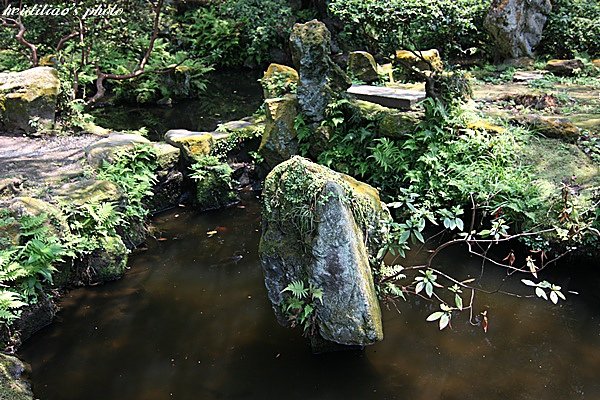 IMG_5134.JPG