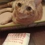 我愛中藥這一味