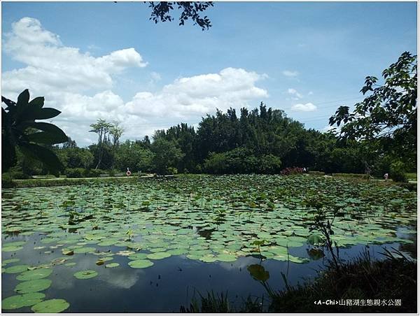 山豬湖生態親水公園(13).jpg