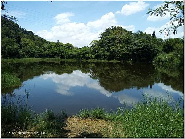 山豬湖生態親水公園.jpg