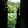P1010525.JPG