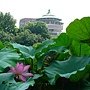 P1010591.JPG