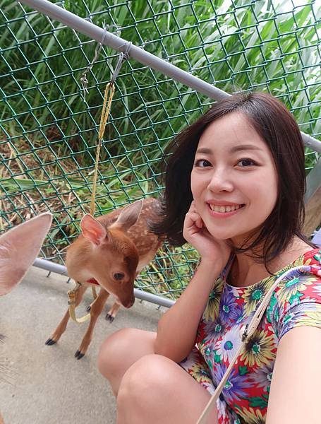 ［親子玩樂-桃園景點］桃園小奈良～水鹿之家半日行程分享