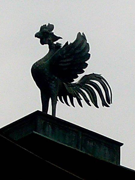 P1360970.JPG