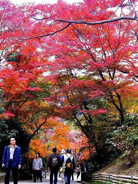 清 P1360557.JPG