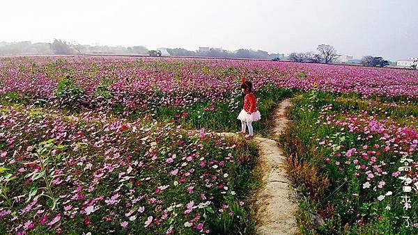 P_20180103_145148_vHDR_Auto_HP_副本.jpg