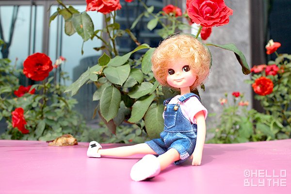 IMG_6313.jpg