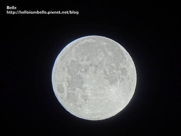DSC03976