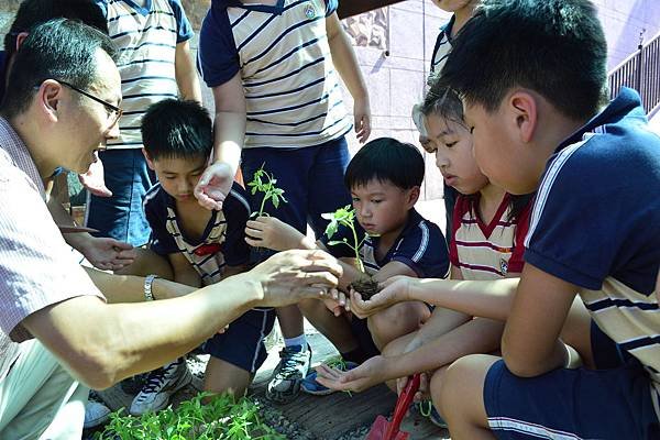 小學田園課程 發幼苗