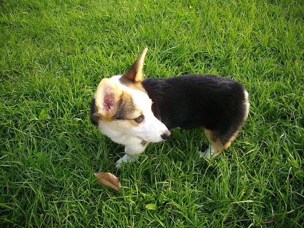 20100327 照片 030.jpg