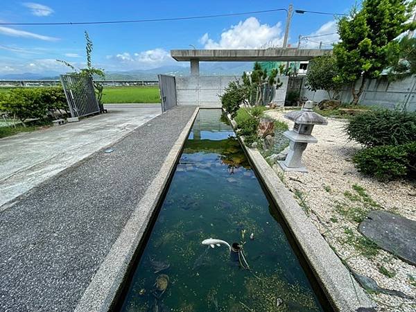 大門魚池