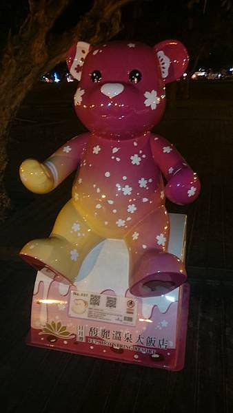 DSC_0111.JPG