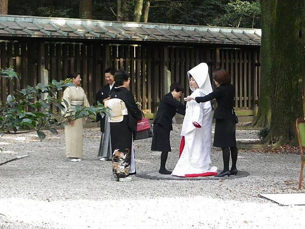 【遊】日本東京★原宿代代木公園(遛狗野餐賞櫻都來這)+明治神宮(本殿、樂神殿)★地鐵代代木公園、原宿站。自由行