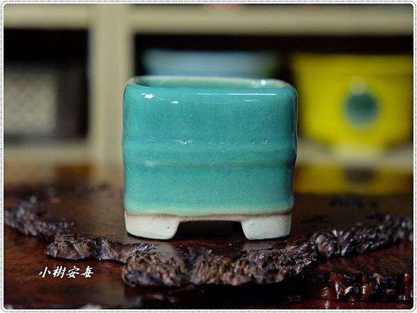 DSCF0996