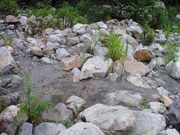P1010264.JPG