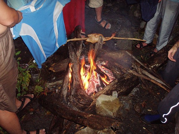 P1010187.JPG