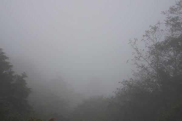 DSC02653.JPG
