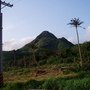 980410蘭嶼意志力之旅 166.jpg