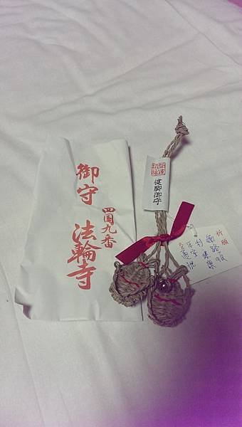 IMAG5491