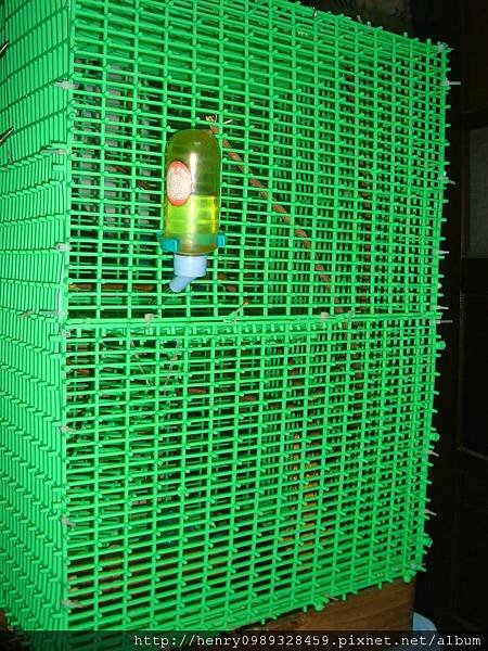 DSC07016