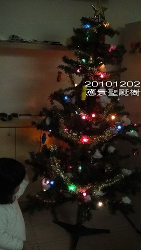 DSC09394_resize.jpg