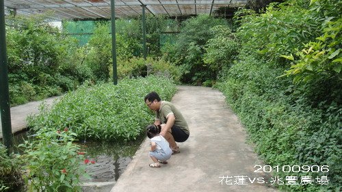 DSC08600_resize.jpg