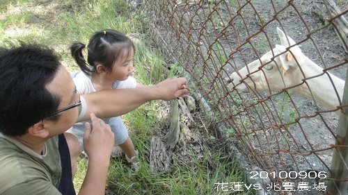 DSC08550_resize.jpg