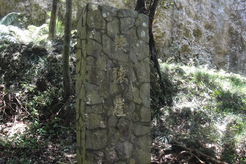 DSC06796_resize.JPG