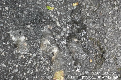 DSC06707_resize.jpg