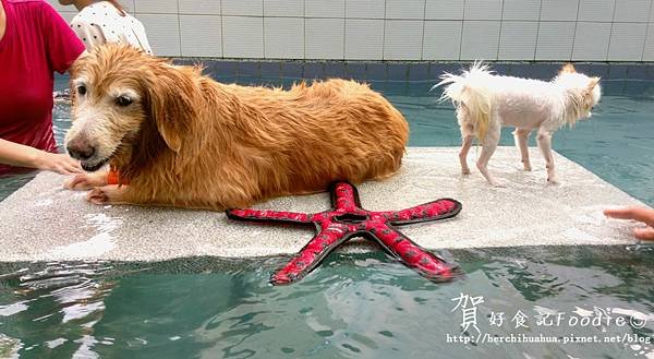 小賀和妞妞