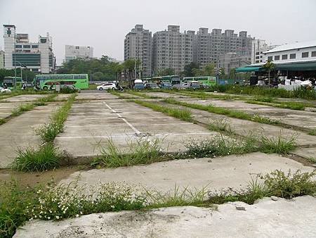 調整大小P1420417.JPG