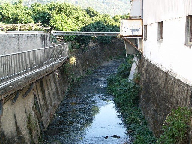 P1760661.JPG