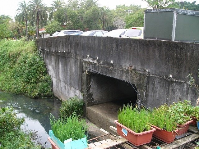 P1780873.JPG