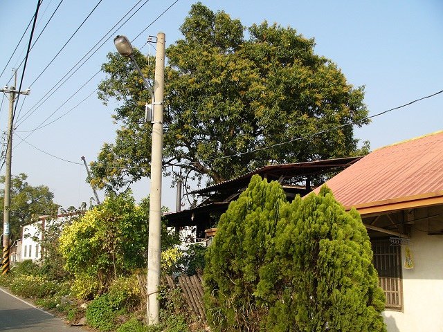 P1210635.JPG