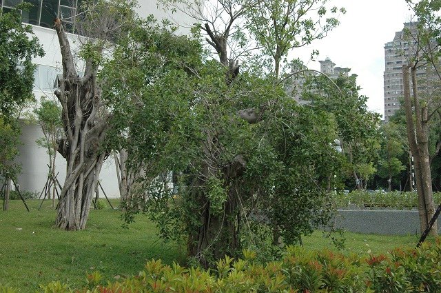 DSC_0438.JPG