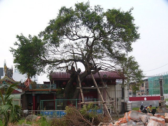 P1890010.JPG