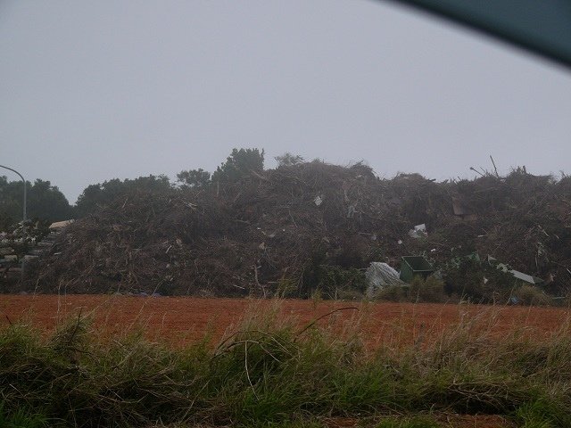 P1780569.JPG