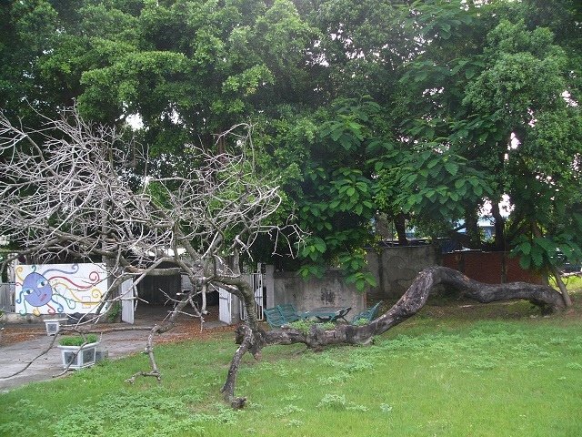 P1840457.JPG