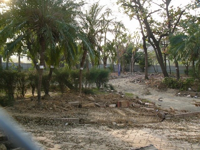 P1920587.JPG