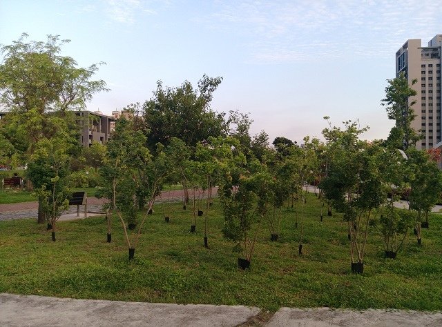 IMAG3084.jpg